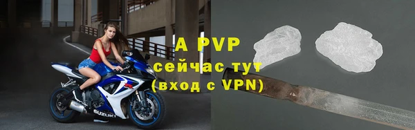 твердый Краснослободск