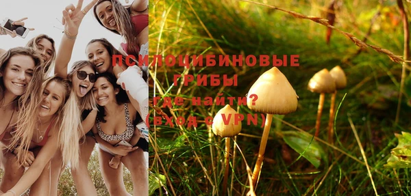 ALPHA PVP Коряжма