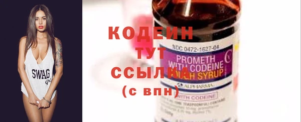 твердый Краснослободск