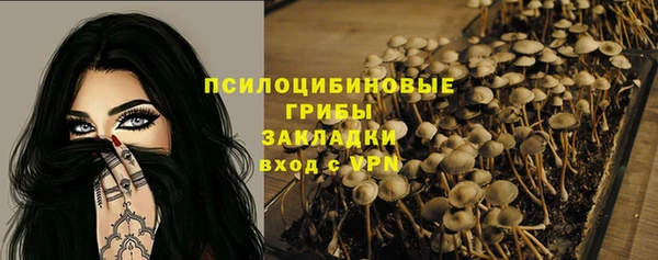 ECSTASY Корсаков