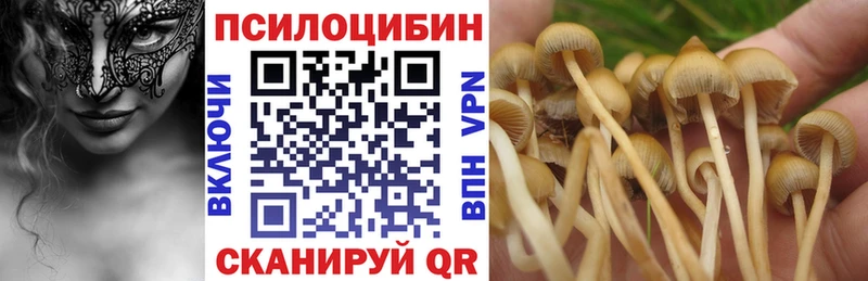 Галлюциногенные грибы мухоморы  наркотики  Касли 