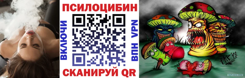 Галлюциногенные грибы Psilocybe Касли